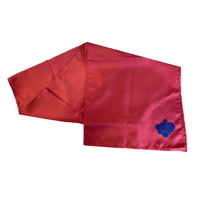 Red Ladies Scarf with logp printed to one position